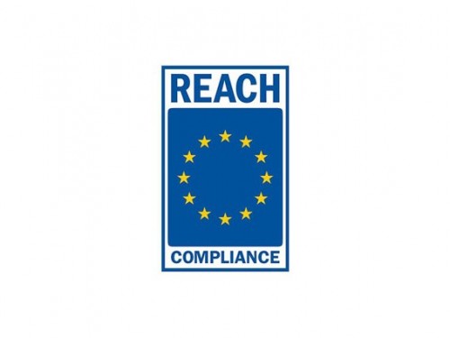 reach-logo